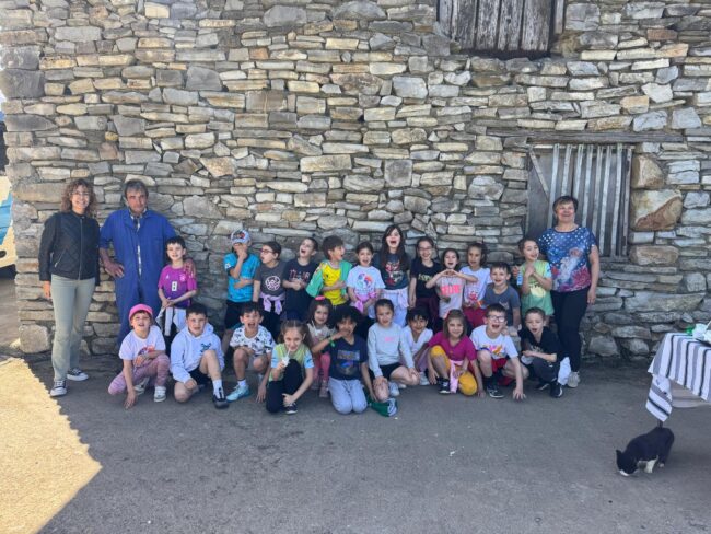 WhatsApp Image 2025-04-30 at 11.31.58